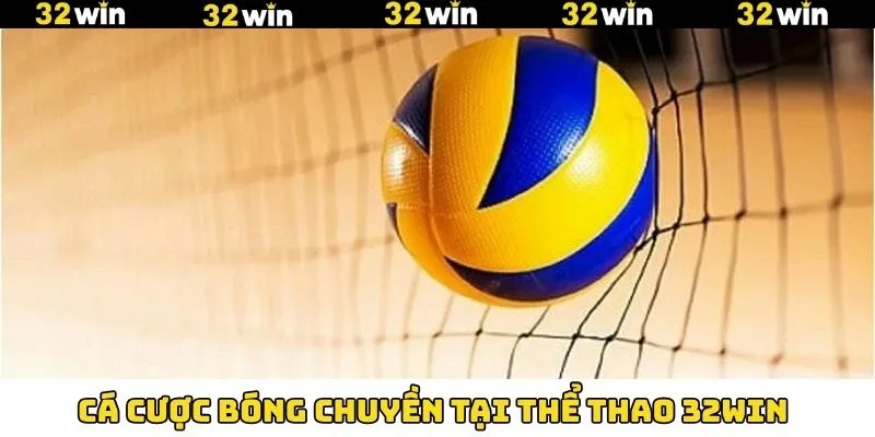 Giải trí bóng chuyền online chuyên nghiệp