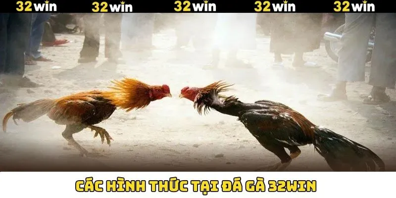 Tổng hợp các trò chơi đình đám trong đá gà 32Win