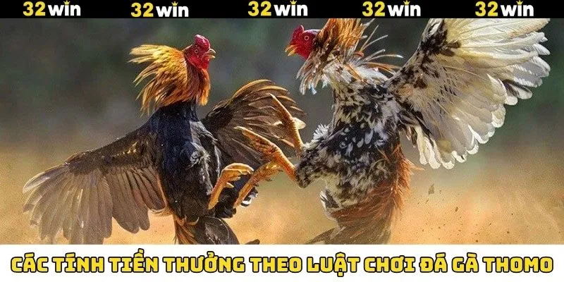 Nắm rõ cách tính tiền thưởng khi chọi kê Thomo 