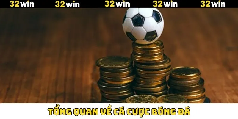 Sức hút đỉnh cao của bộ môn bóng đá